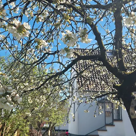 Schäferhaus Ferienhaus Wolfsburg