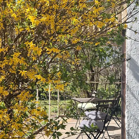 Ferienhaus Schäferhaus