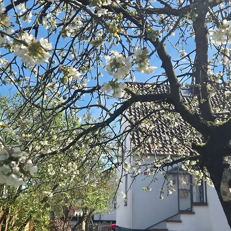 Schaeferhaus וולפסבורג